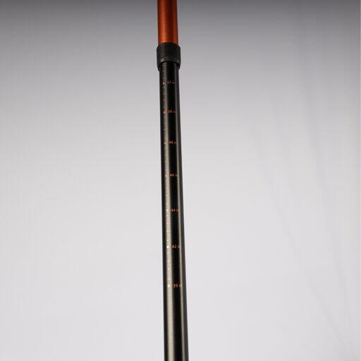 Image - 3