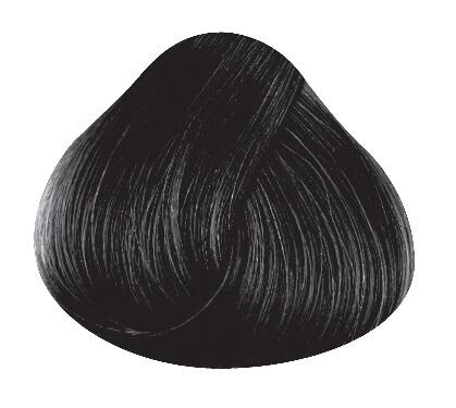 Swatch of hair showing ebony directions hair colour