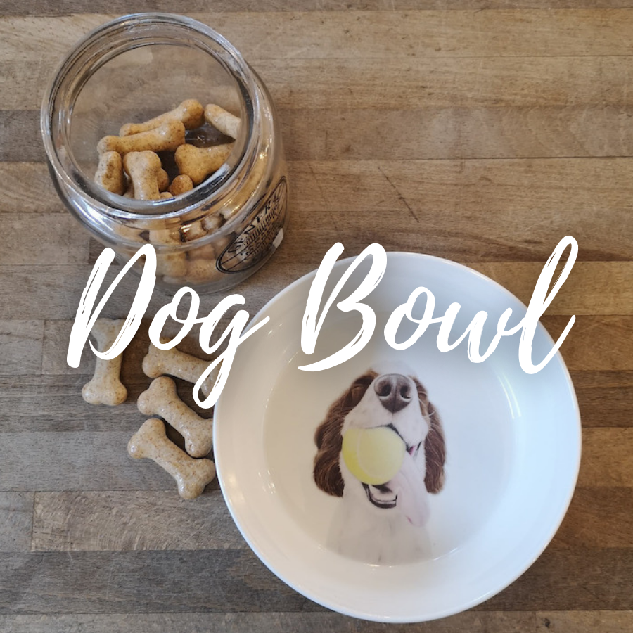 Dog Bowl