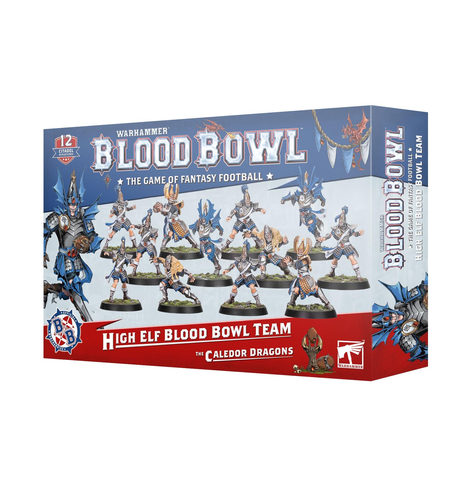 BLOOD BOWL: HIGH ELF BLOOD BOWL TEAM - Gifts for Geeks Leicester