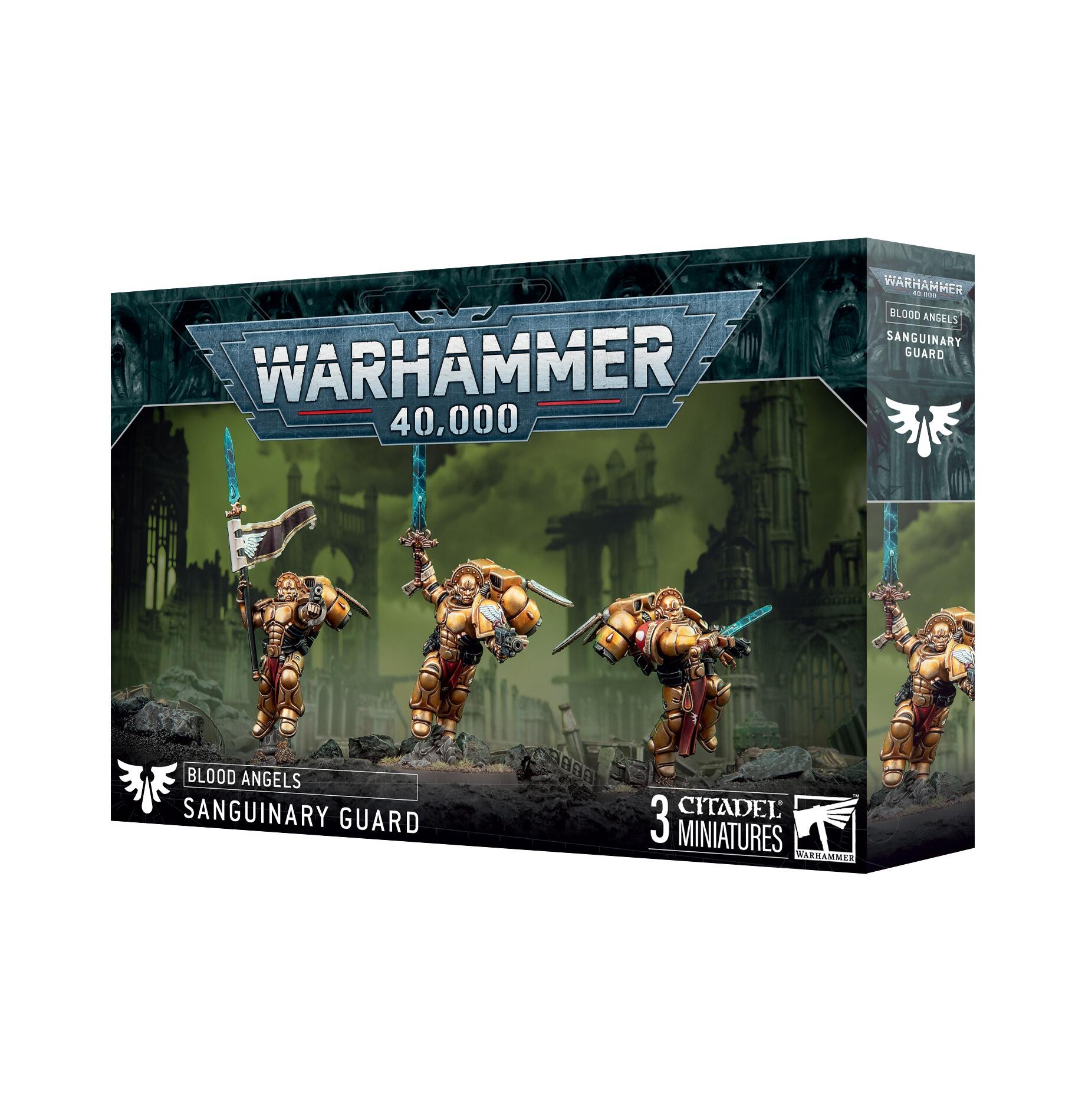 BLOOD ANGELS: SANGUINARY GUARD 2024 thumbnail