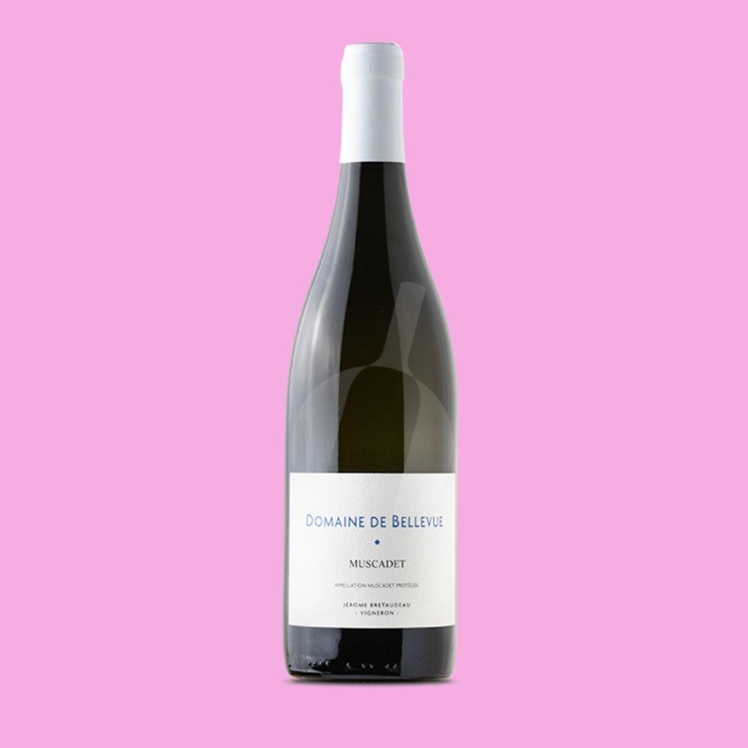 Jerome Bretaudeau - Domaine de Bellevue Muscadet