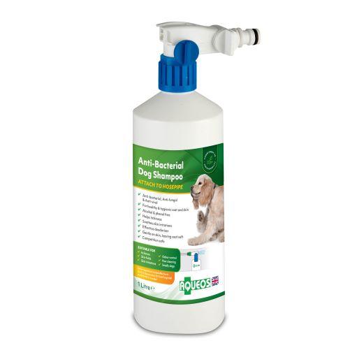 antibacterial antifungal dog shampoo