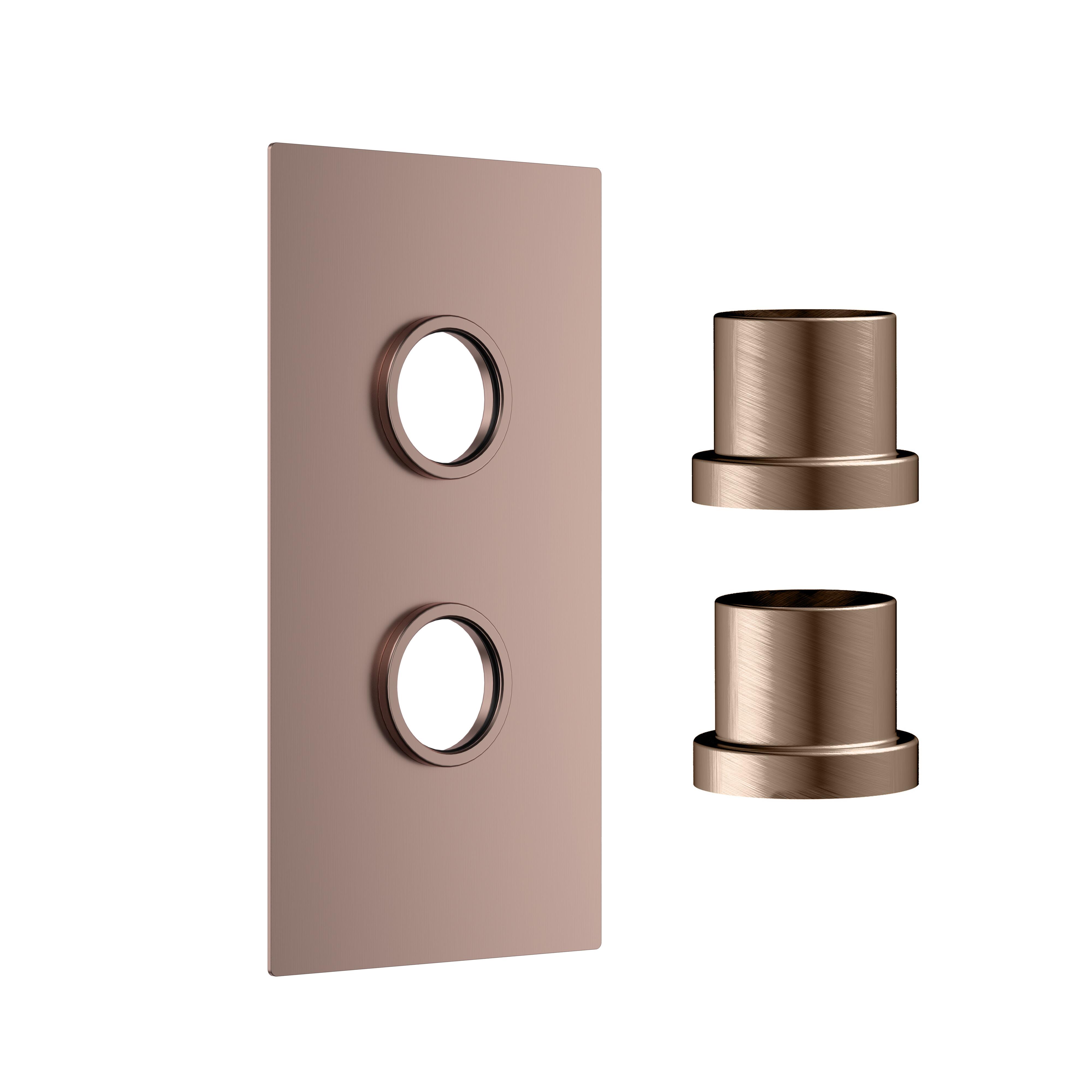 Scudo concealed shower plate with 2 outlets, brushed bronze finish, wall mounted, stainless steel