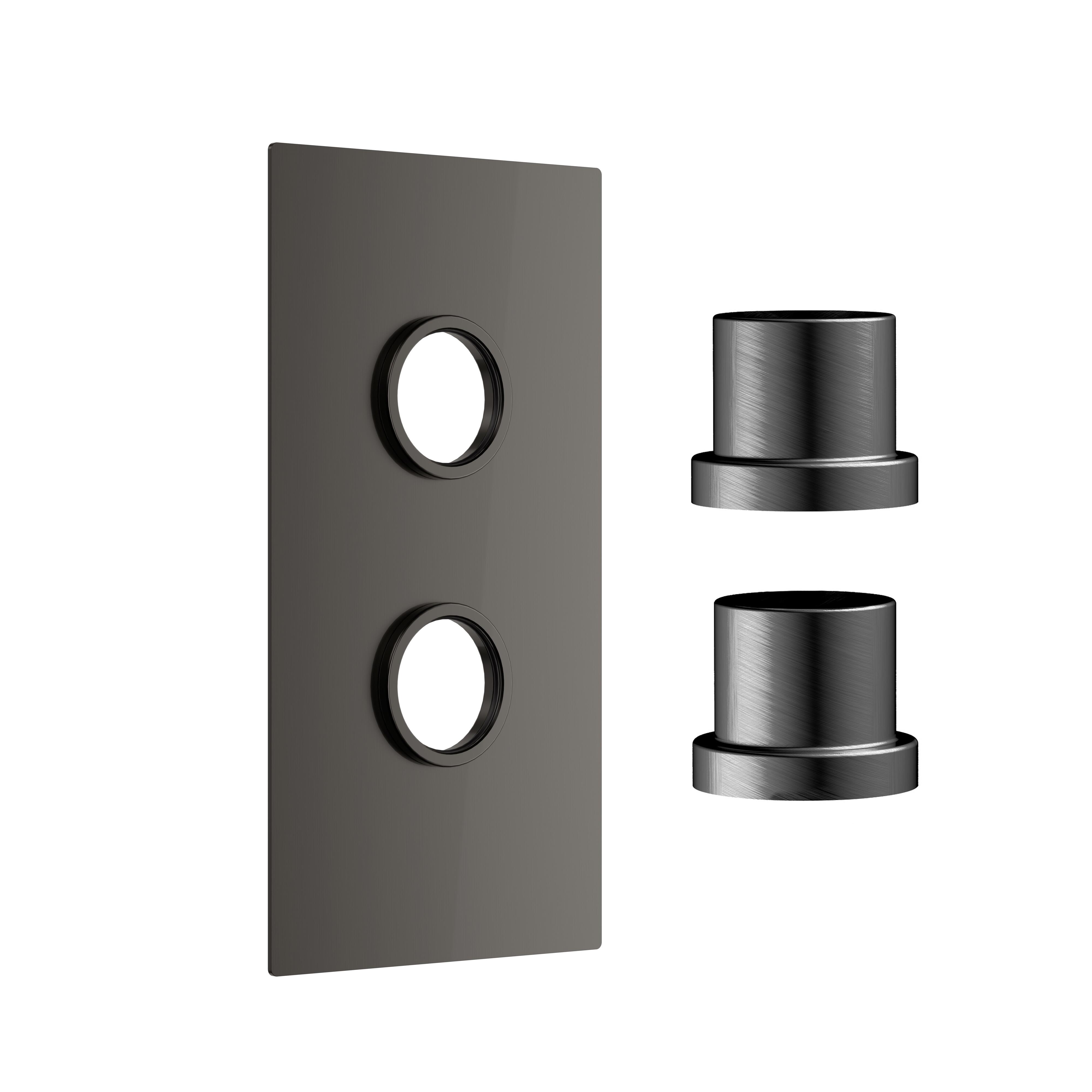 Scudo Colour concealed shower plate, 2 outlets, gun metal stainless steel