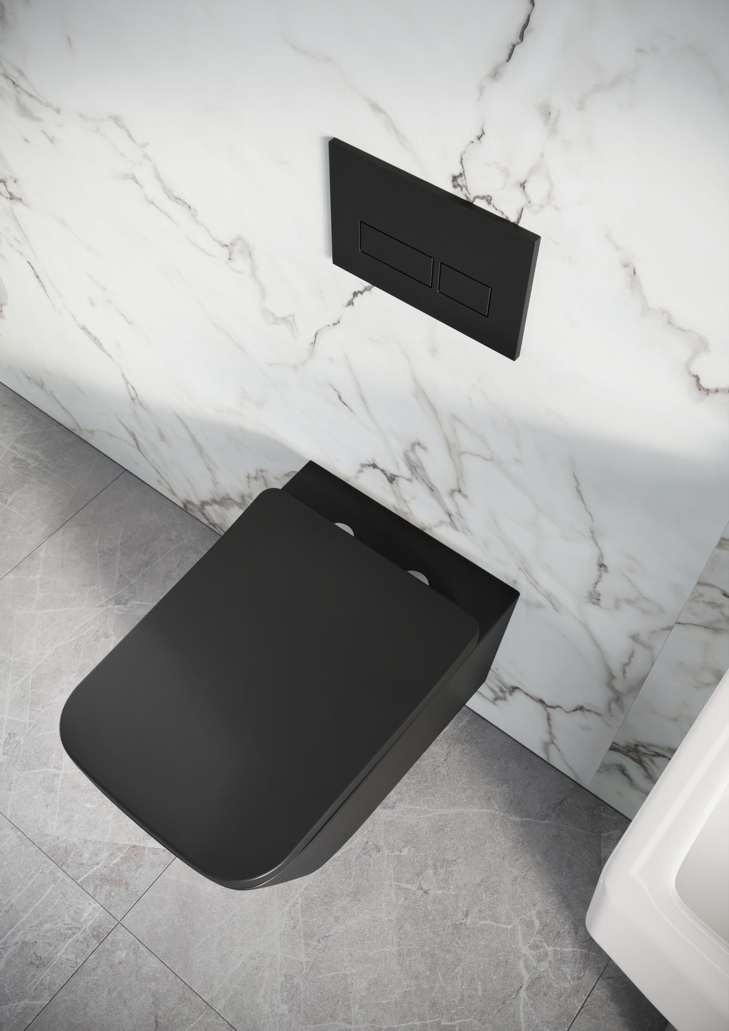 JT Spas Scudo Riviera wall hung toilet