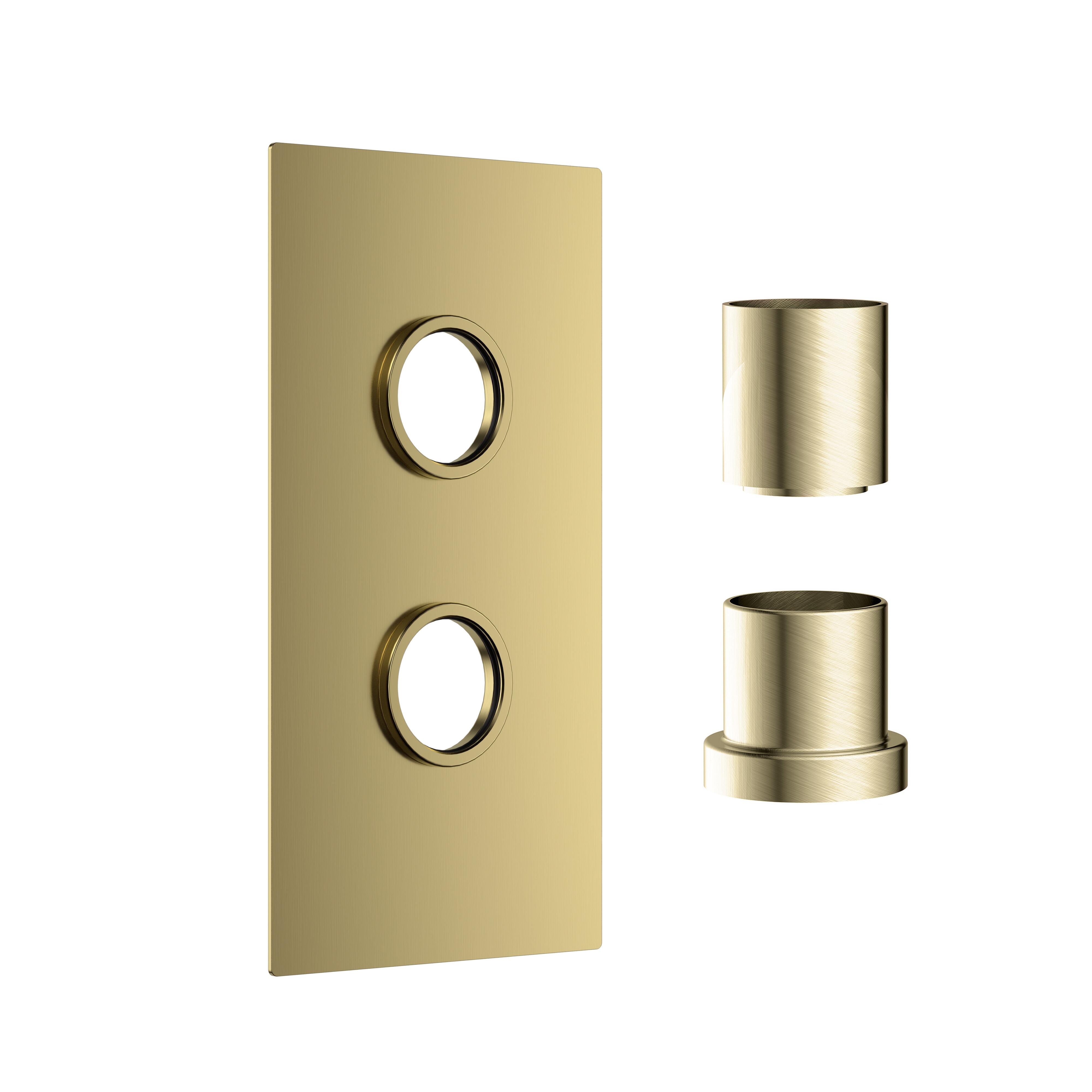 Scudo Colour concealed shower control plate with 1 outlet in brushed brass finish