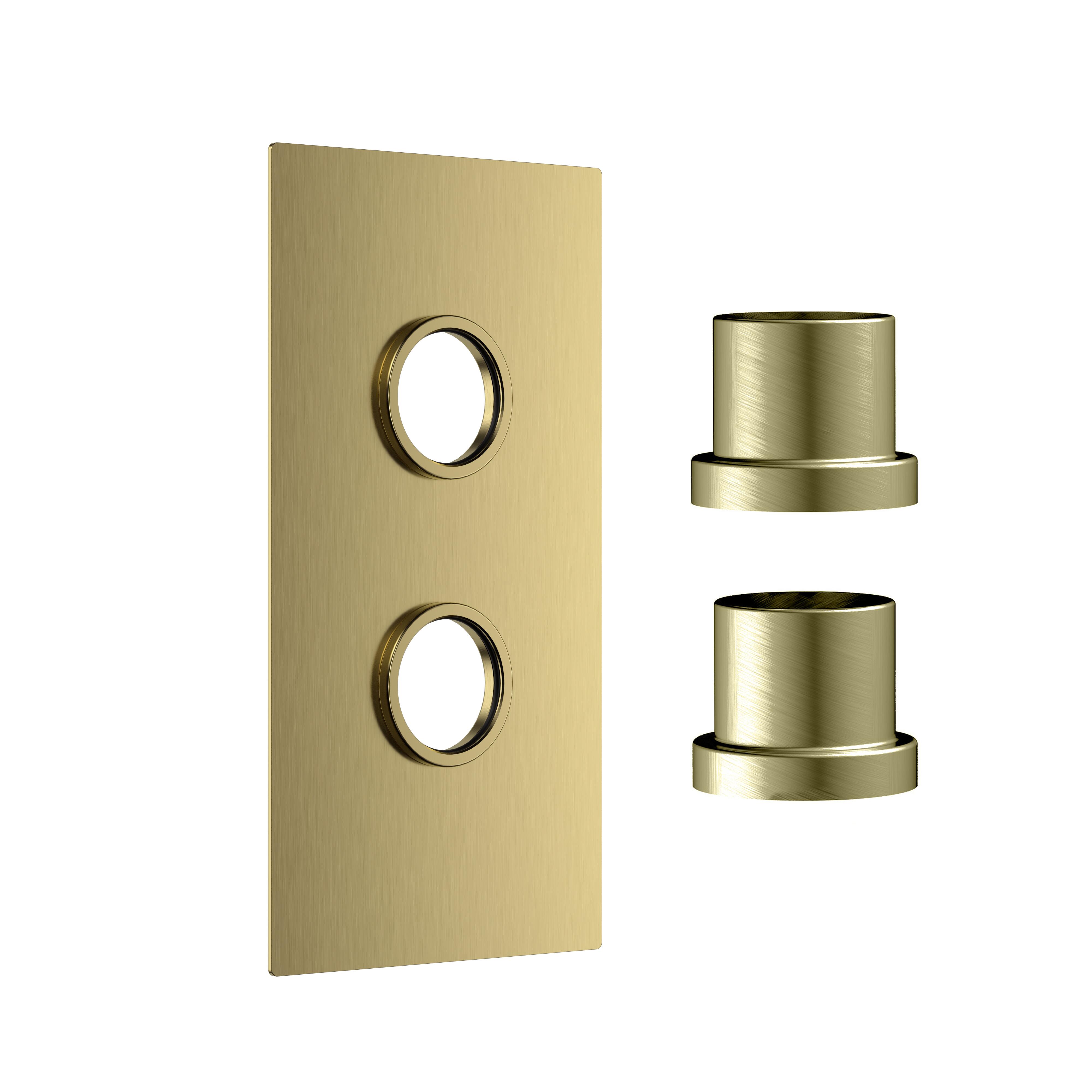 Scudo concealed shower control plate with 2 outlets, brushed brass finish, wall mounted