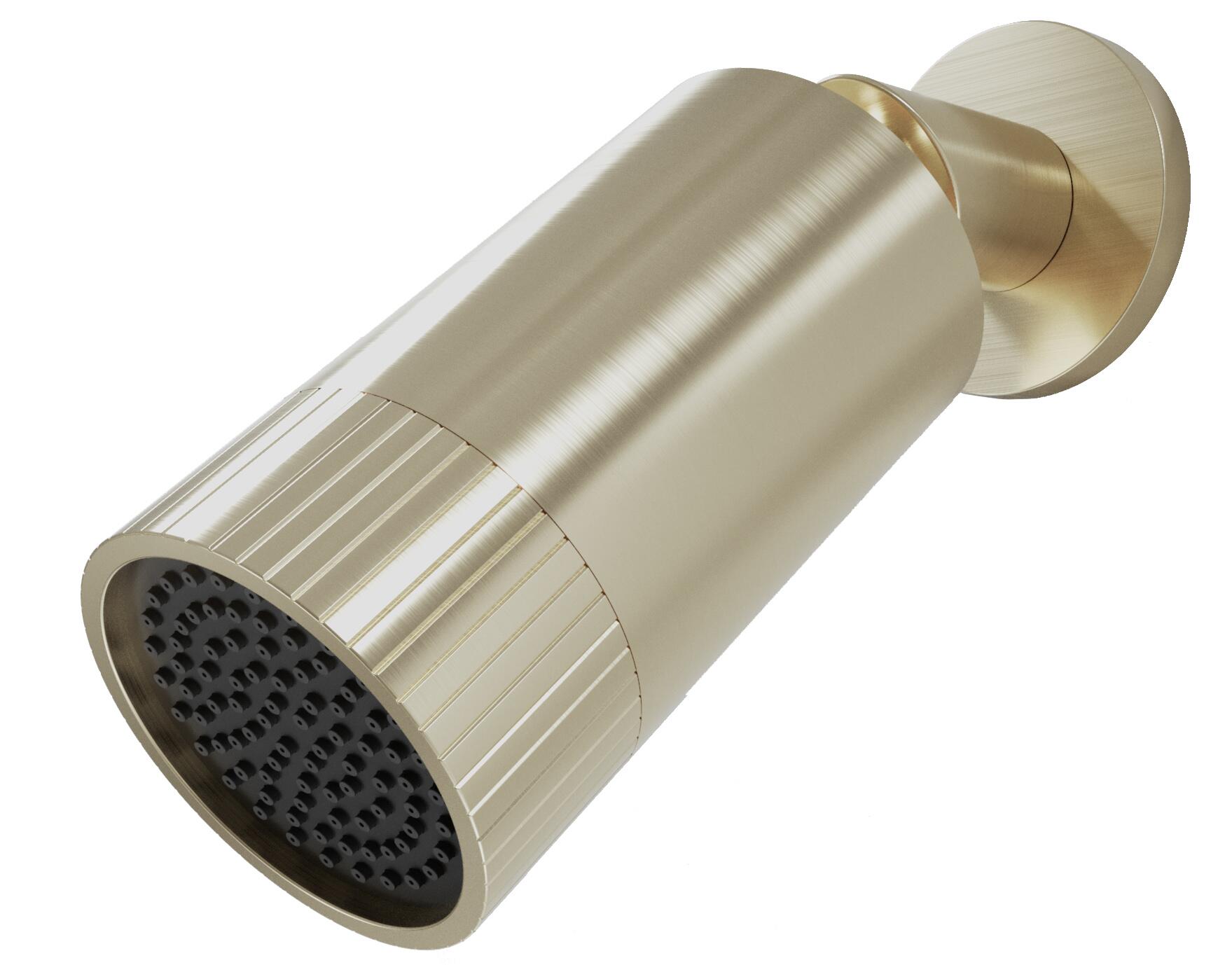 Scudo Core Spotlight fixed shower head, round design, brushed brass finish