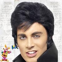 Adult Elvis Costumes