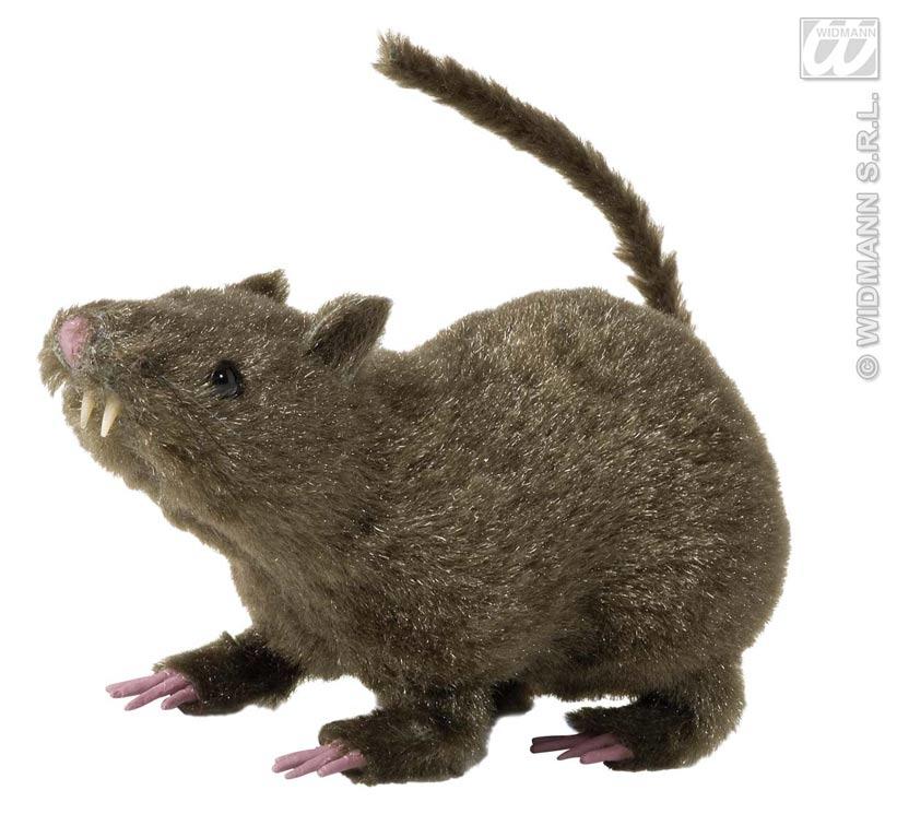 Hairy Rat - Halloween Animals and Props