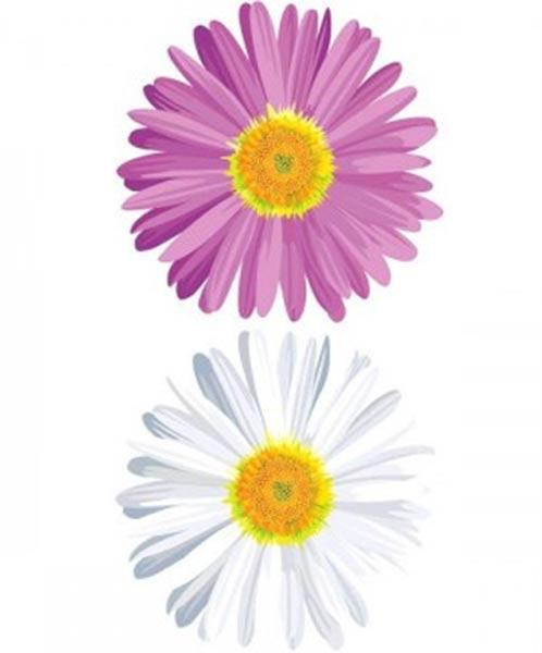 Daisy Cutout by Amscan 196804 available from Karnival Costumes