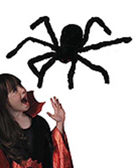 Jumbo 30" Black Spider - Halloween Spiders and Webs
