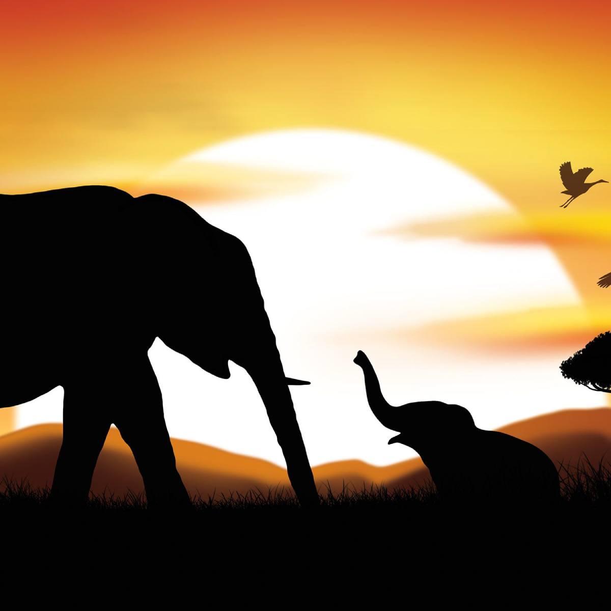 Close up for our African Safari Insta-Mural - 5ft x 6ft by Beistle 53046 available in the UK here at Karnival Costumes online party shop
