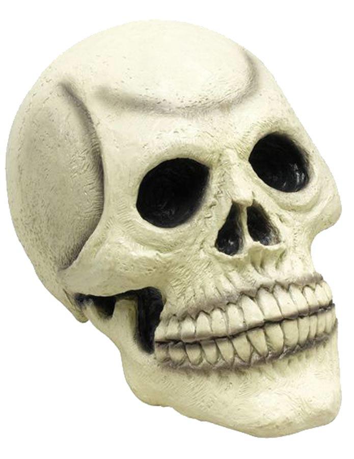 Latex Rubber Skull (HI125)