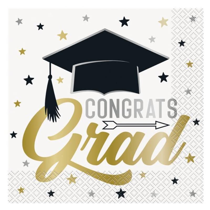 Stars and Caps Graduation 33cm 2ply Napkins pk16 by Unique 24872 available here at Karnival Costumes online party shop