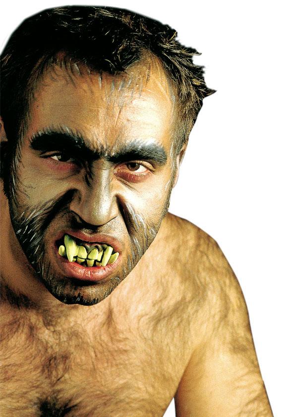 Werewolf Upper & Lower Set Costume Teeth by Widmann 4094F available here at Karnival Costumes online party shop