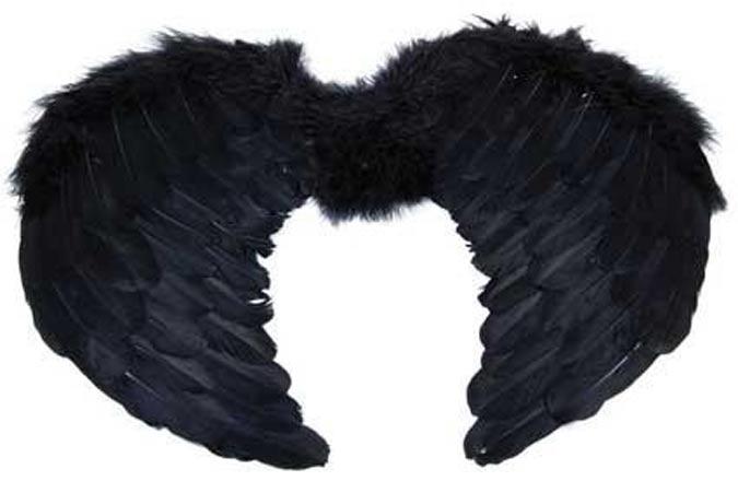 Mini Black Feather Angel Wings