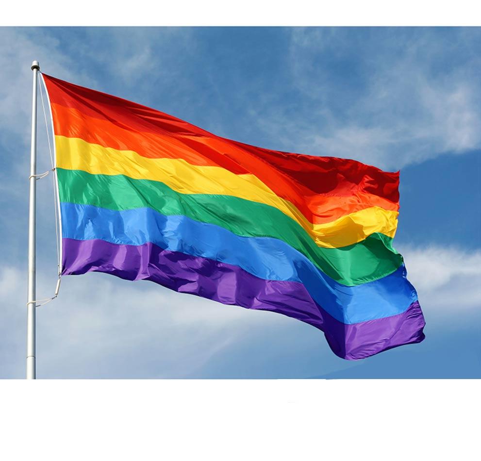 Large Rainbow Pride Destival Carnival or NHS Flag 150X90CM (5ft x 3ft) by Wicked AC-9082 AC9082 available here at Karnival Costumes online party shop