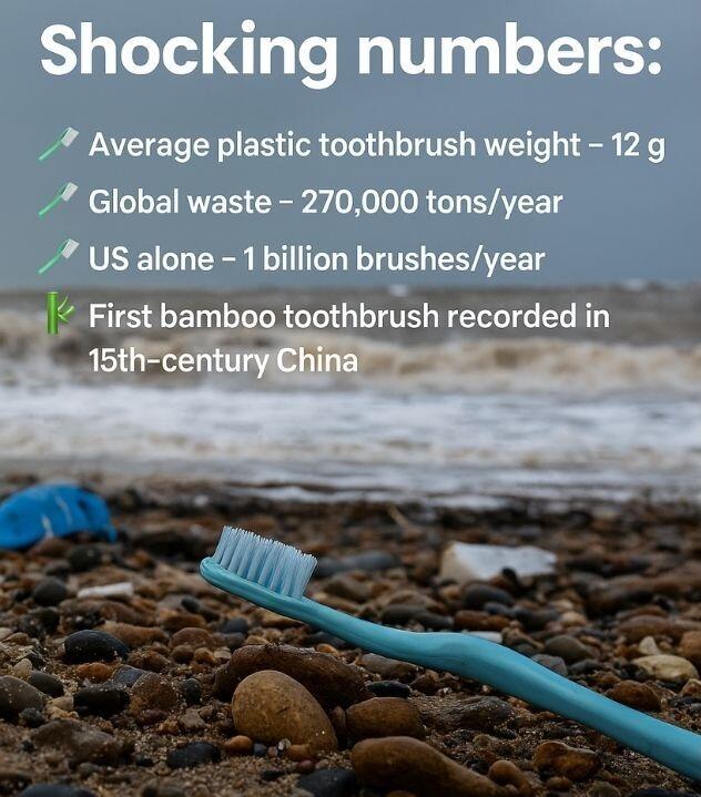 The Truth Behind Your Toothbrush