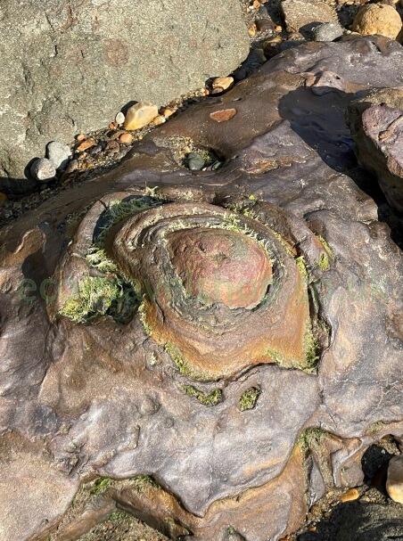 Sea stone like volcano crater