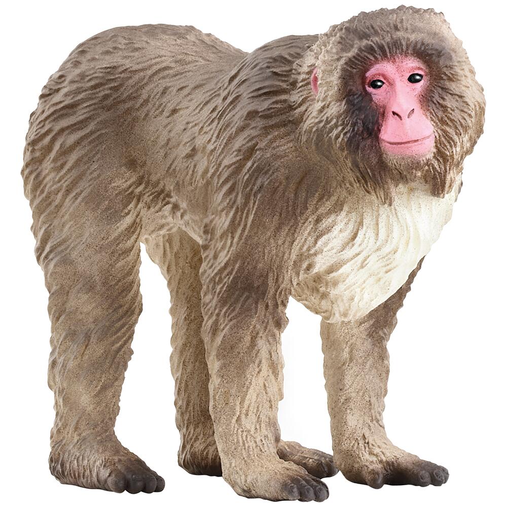 Schleich Wild Life Japanese Macaque Collectable Figure 14871
