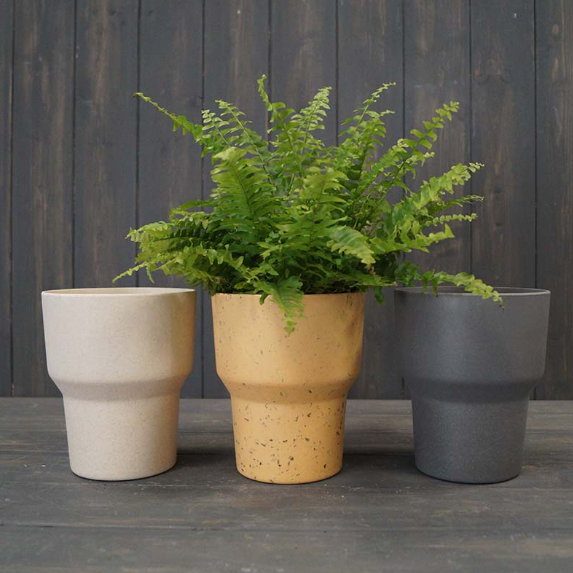 sustainable plant pot