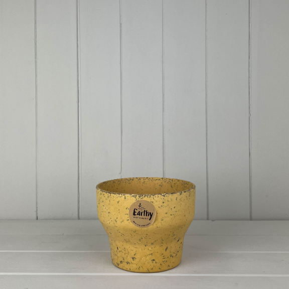 bamboo yellow plant pot