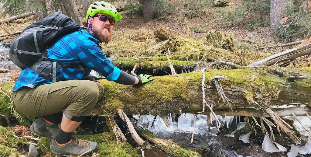 Bears, Toilets and Bike Parts