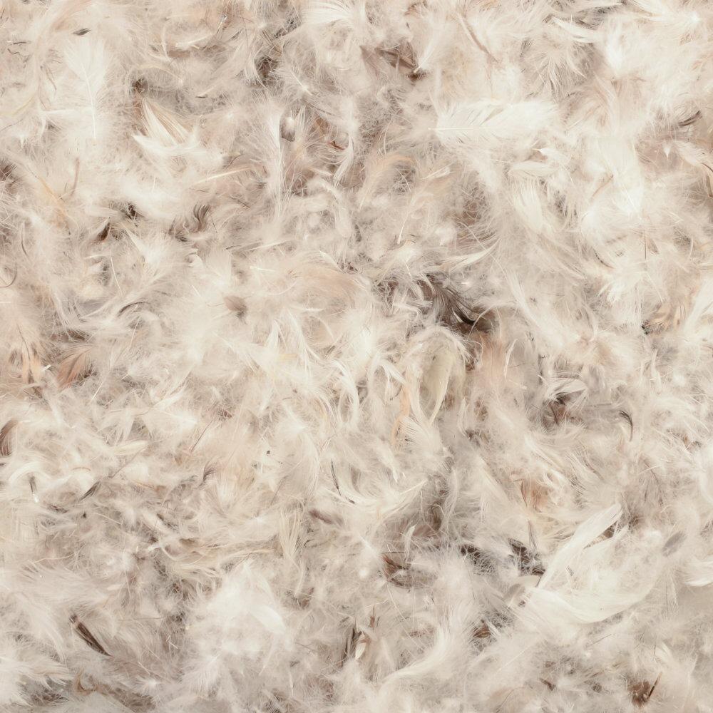 Close-up of natural down and feather filling