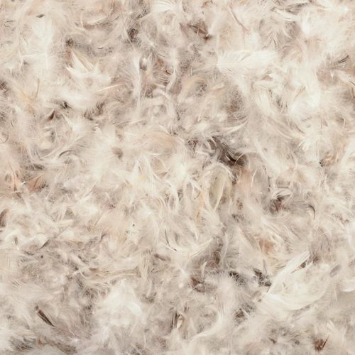 Close-up of natural down and feather filling