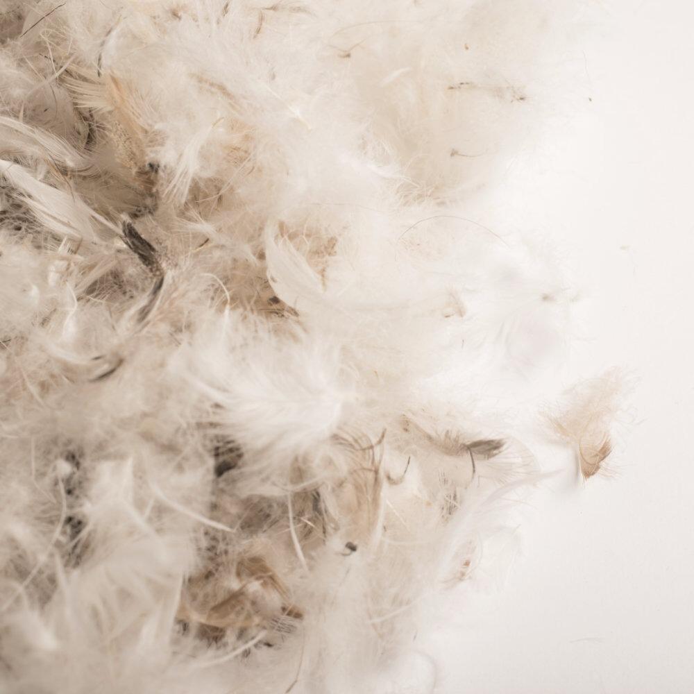Close-up of soft down and feather filling