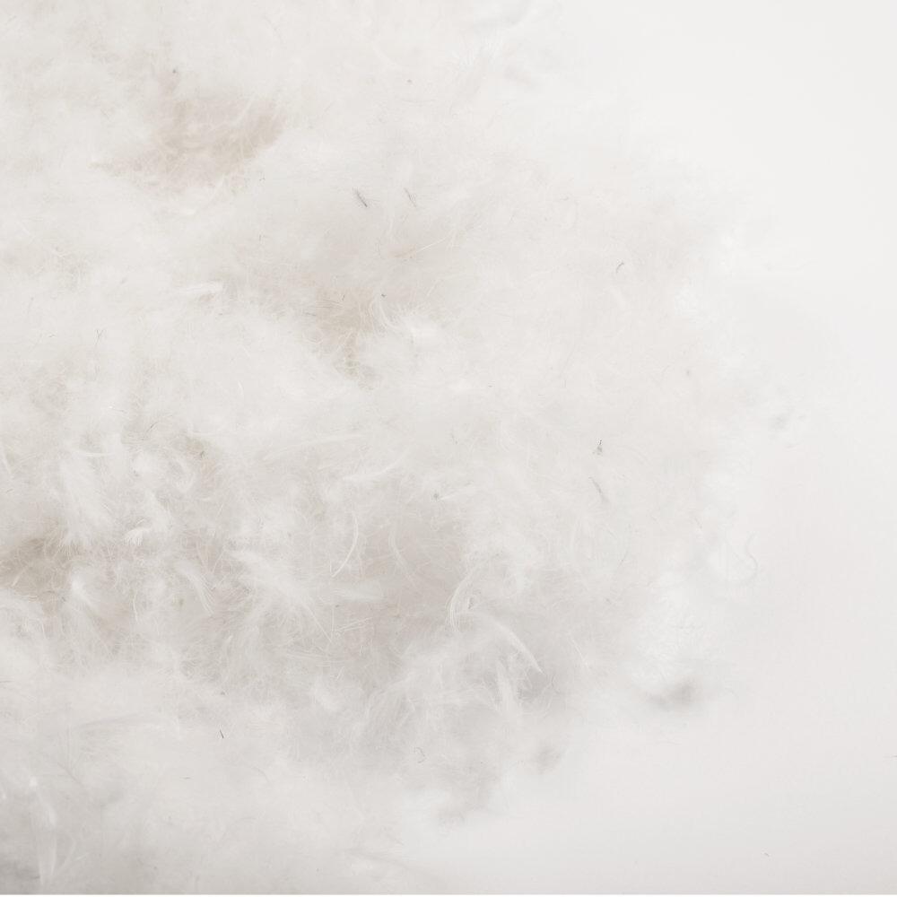 Close-up of soft pure down filling