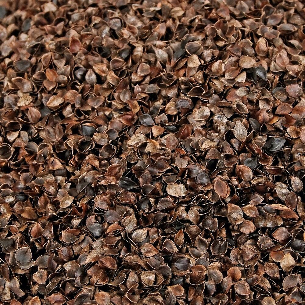 Close-up of natural buckwheat hulls
