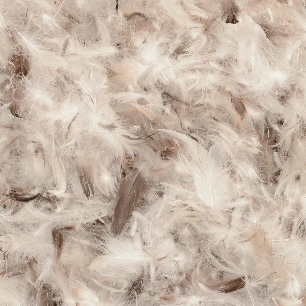 Close-up of natural feather and down filling