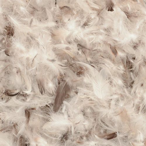Close-up of natural feather and down filling