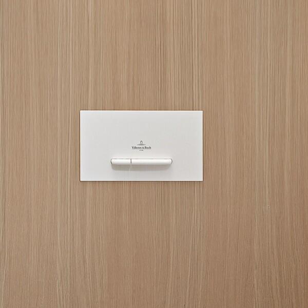 Villeroy & Boch ViConnect E300/300S Dual Flush Plate – White