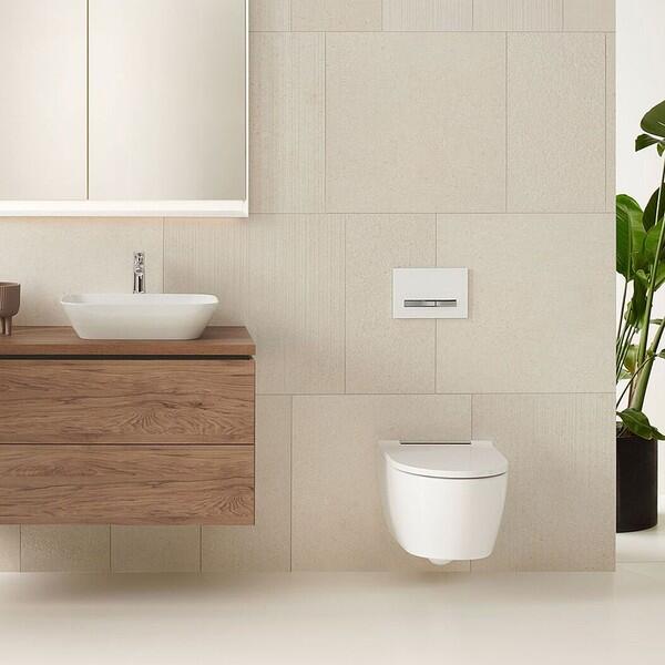 Geberit Sigma50 Dual Flush Plate – Black & Chrome