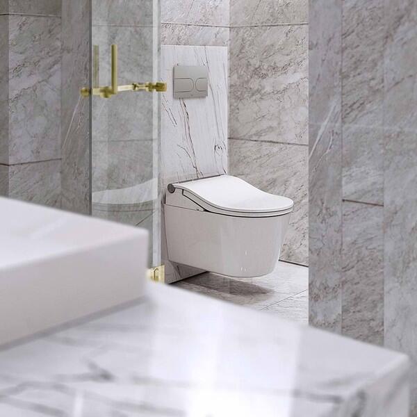 TOTO WASHLET RW Auto Flush Pan + Seat Set – Silver Trim + matching pan
