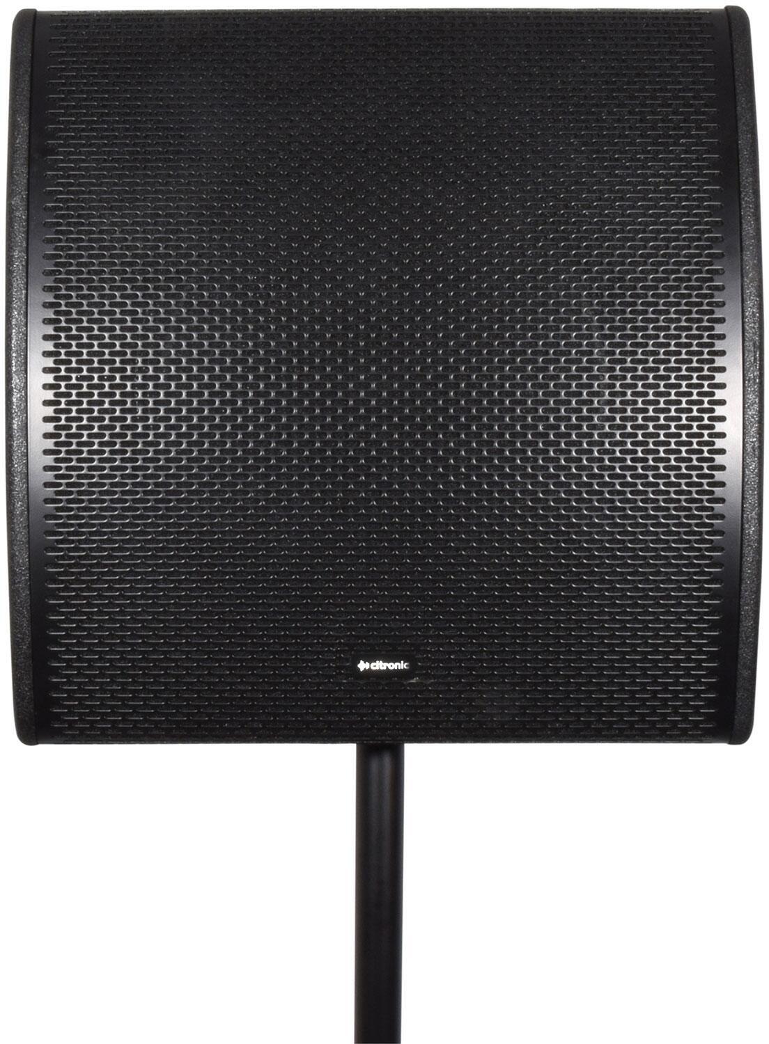 Citronic CM15 Passive Wedge Speaker on pole front
