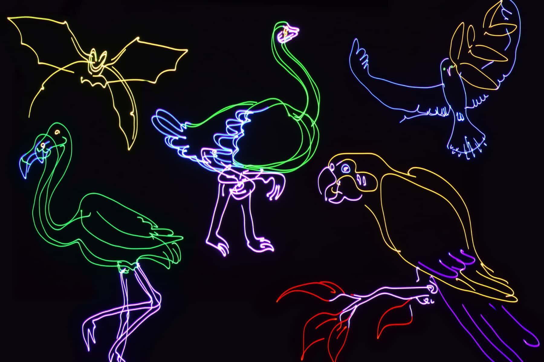 Citronic Animate Smart: RGB Smart Animation Laser graphics 2