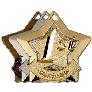 1st, 2nd & 3rd Gold, Silver & Bronze Star Shaped Badges