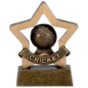 Cricket Mini Star Trophy