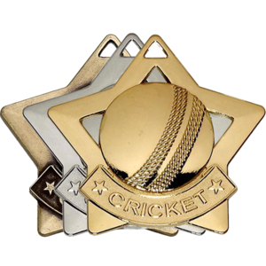 Gold, Silver, Bronze Star Shaped Cricket Badges