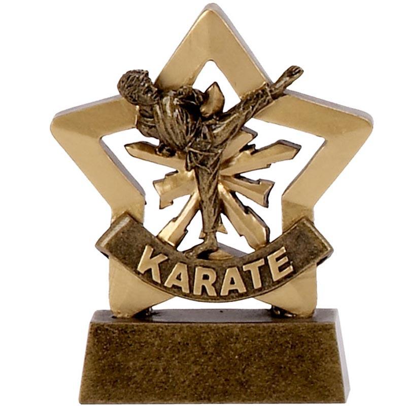 Karate Mini Star Trophy