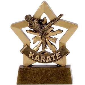 Karate Mini Star Trophy