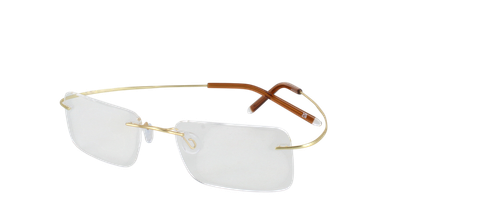 Nico - Gold - Titanium prescription glasses front left view