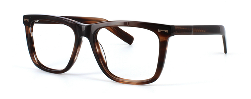 Edward Scotts Warhol - Shiny Tortoise prescription glasses front left view