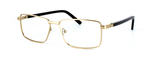 Wrighty in Gold prescription glasses front left view