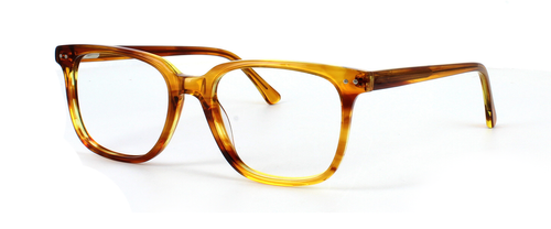 Tepache - Light Tortoise prescription glasses front left view